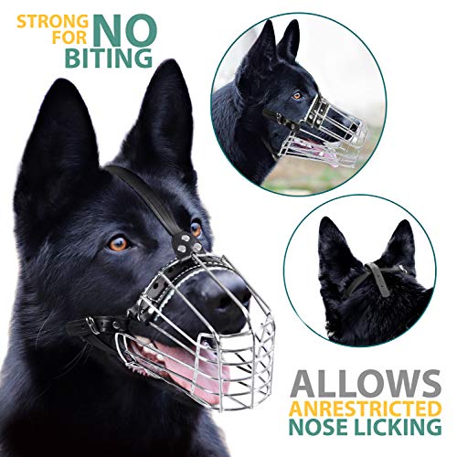 Dog Chrome Metal Muzzles Wire Basket Adjustable Leather Straps German Shepherd Reinforced (№1) Snout Circumference is 11. - 12.6 in Length is 4.3-4.7 in