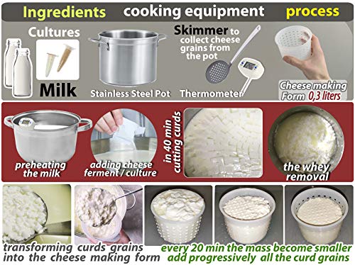 10 pcs Cheesemaking Kit Strainer cheese Basic Cheese Mold 300 ml