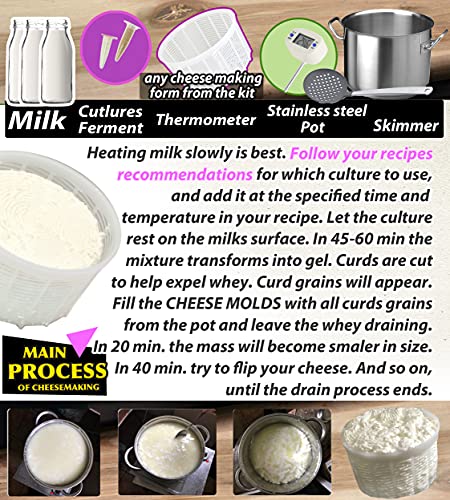 7 pcs Cheesemaking Kit №1 Punched Сheese Mold Press Strainer cheese