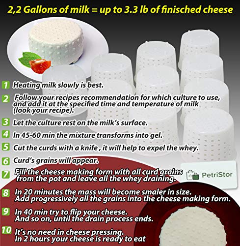 10 pcs Cheesemaking Kit Strainer cheese Basic Cheese Mold 300 ml