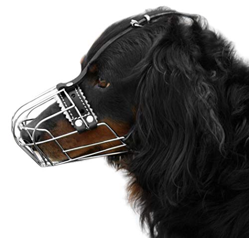 Dog Chrome Metal Muzzles №2 Wire Basket Adjustable Leather Straps Сircumference is 7-9 in, The Length is 2.7-3.1 in