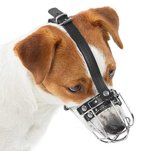 Dog Chrome Metal Muzzles Wire Basket Adjustable Leather Straps (№0) Circumference is 5.9-6.2 in, Length is 2.1-2.3 in