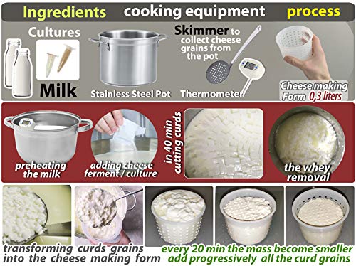 10 pcs Cheesemaking Kit  Strainer cheese Basic Cheese Mold 300 ml