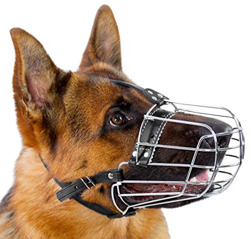 Dog Chrome Metal Muzzles Wire Basket Adjustable Leather Straps (№5+) Circumference is 12.2-13 in, Length is 4.7-5.1 in