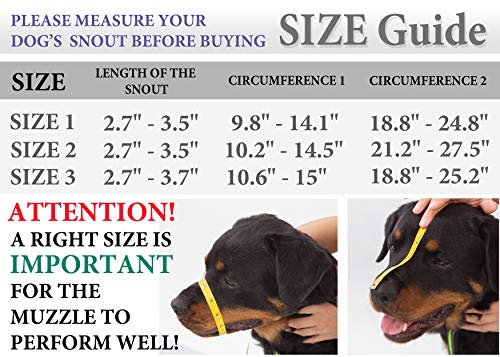 Dog Chrome Metal Muzzles Rottweiler №3 Adjustable Leather Straps