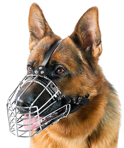 Dog Chrome Metal Muzzles Wire Basket Adjustable Leather Straps German Shepherd Reinforced (№3) Snout Circumference is 13.7-14.5 in, Length is 4.9-5.3 in.