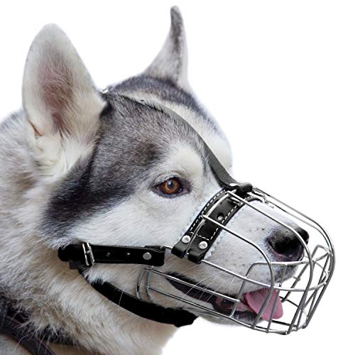 Dog Chrome Metal Muzzles №5 Wire Basket Genuine Leather Adjustable Leather Straps Circumference is 11.4-12.6 in, Length is 3.5-3.9 in